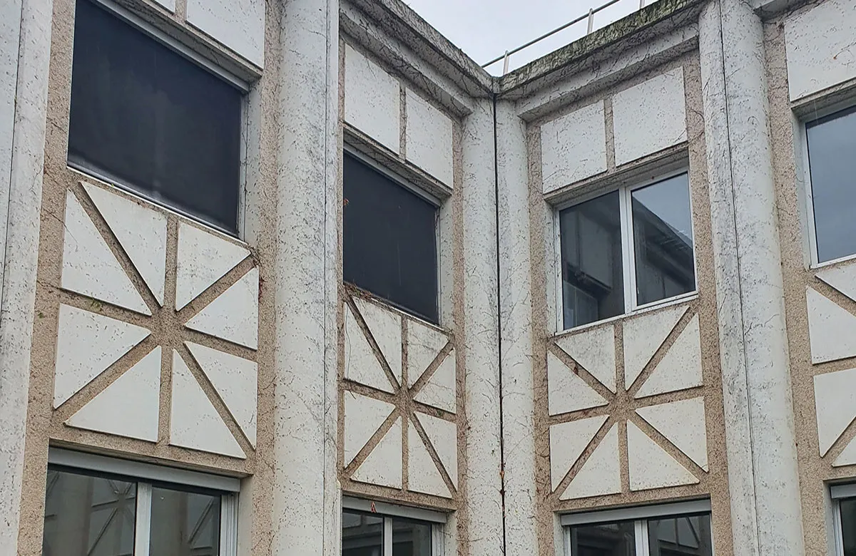 Arrachage lierre façade Grenoble