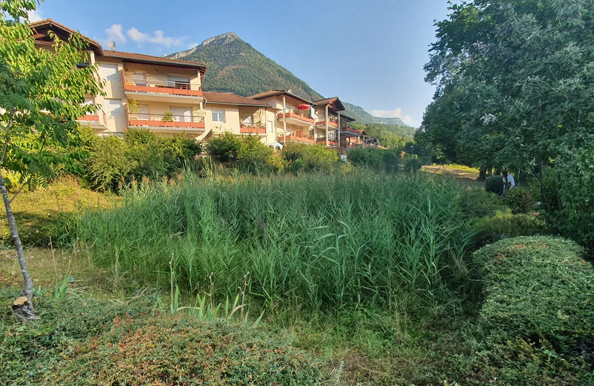 Avant Fauchage d’une zone humide à Biviers