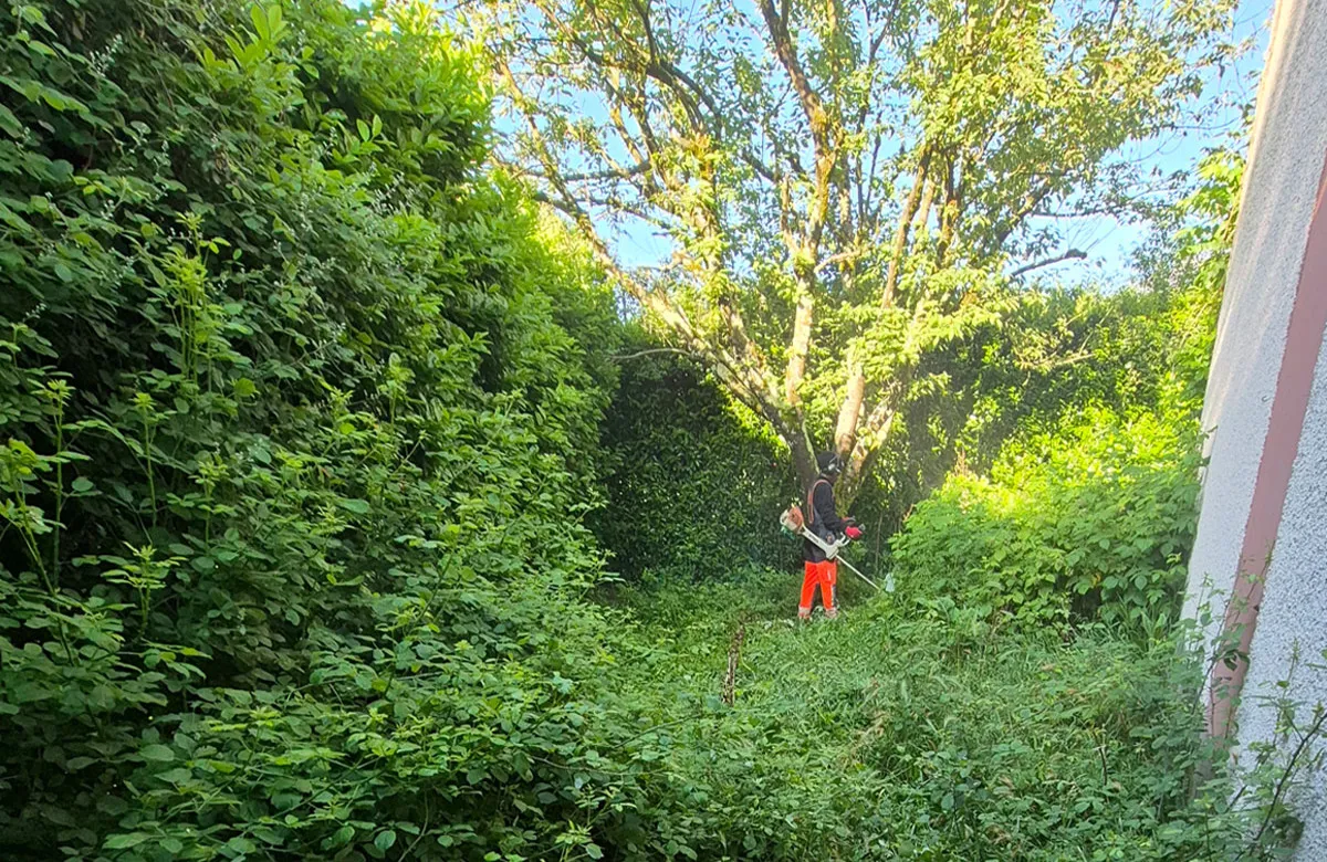 Avant Remise en état d’un jardin à Échirolles (Isère)